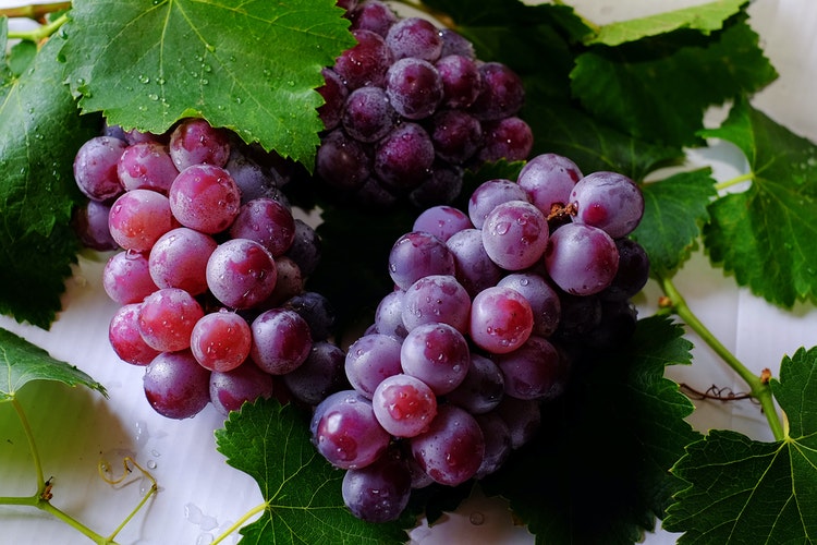 Folhas de uva – Quais os benefícios e como preparar o chá?