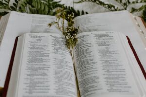 Frases bíblicas para status